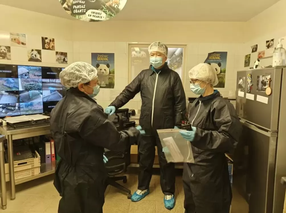 第1现场|13年旅法生涯画句点,“欢欢”“圆仔”荣耀归来-第3张图片- 第1现场|13年旅法生涯画句点,“欢欢”“圆仔”荣耀归来-第3张图片-