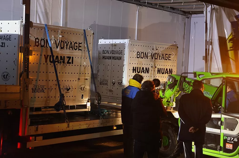 第1现场|13年旅法生涯画句点,“欢欢”“圆仔”荣耀归来-第5张图片- 第1现场|13年旅法生涯画句点,“欢欢”“圆仔”荣耀归来-第5张图片-