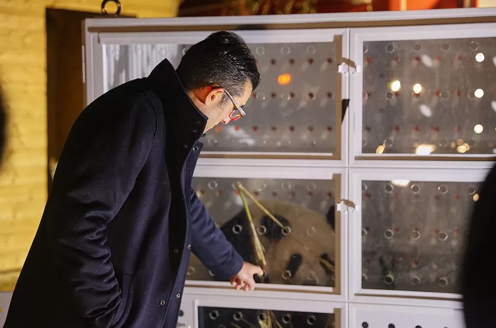 第1现场|13年旅法生涯画句点,“欢欢”“圆仔”荣耀归来-第6张图片- 第1现场|13年旅法生涯画句点,“欢欢”“圆仔”荣耀归来-第6张图片-