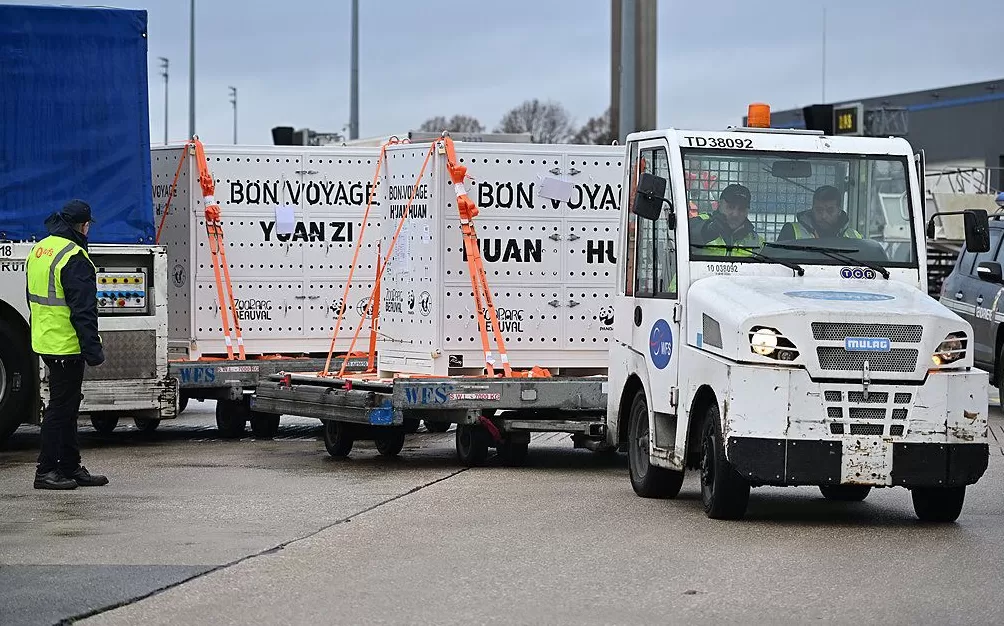 第1现场|13年旅法生涯画句点,“欢欢”“圆仔”荣耀归来-第7张图片- 第1现场|13年旅法生涯画句点,“欢欢”“圆仔”荣耀归来-第7张图片-