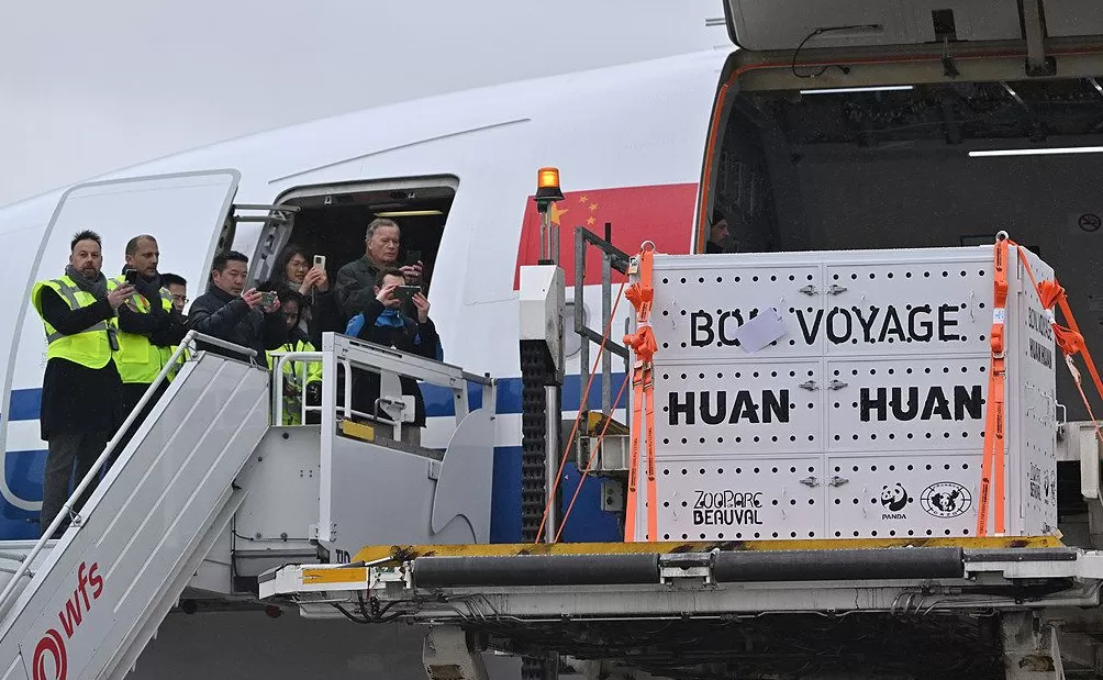 第1现场|13年旅法生涯画句点,“欢欢”“圆仔”荣耀归来-第9张图片- 第1现场|13年旅法生涯画句点,“欢欢”“圆仔”荣耀归来-第9张图片-