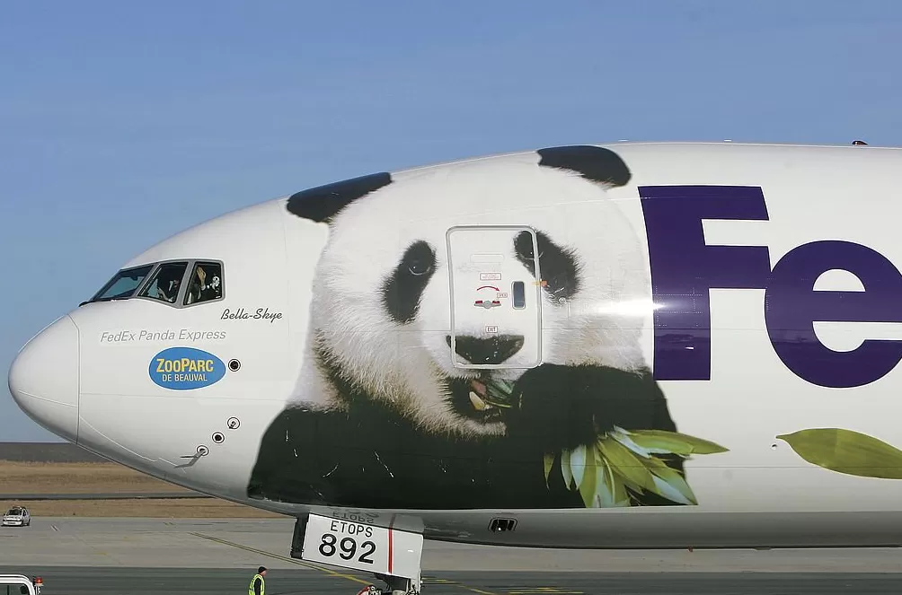 第1现场|13年旅法生涯画句点,“欢欢”“圆仔”荣耀归来-第11张图片- 第1现场|13年旅法生涯画句点,“欢欢”“圆仔”荣耀归来-第11张图片-