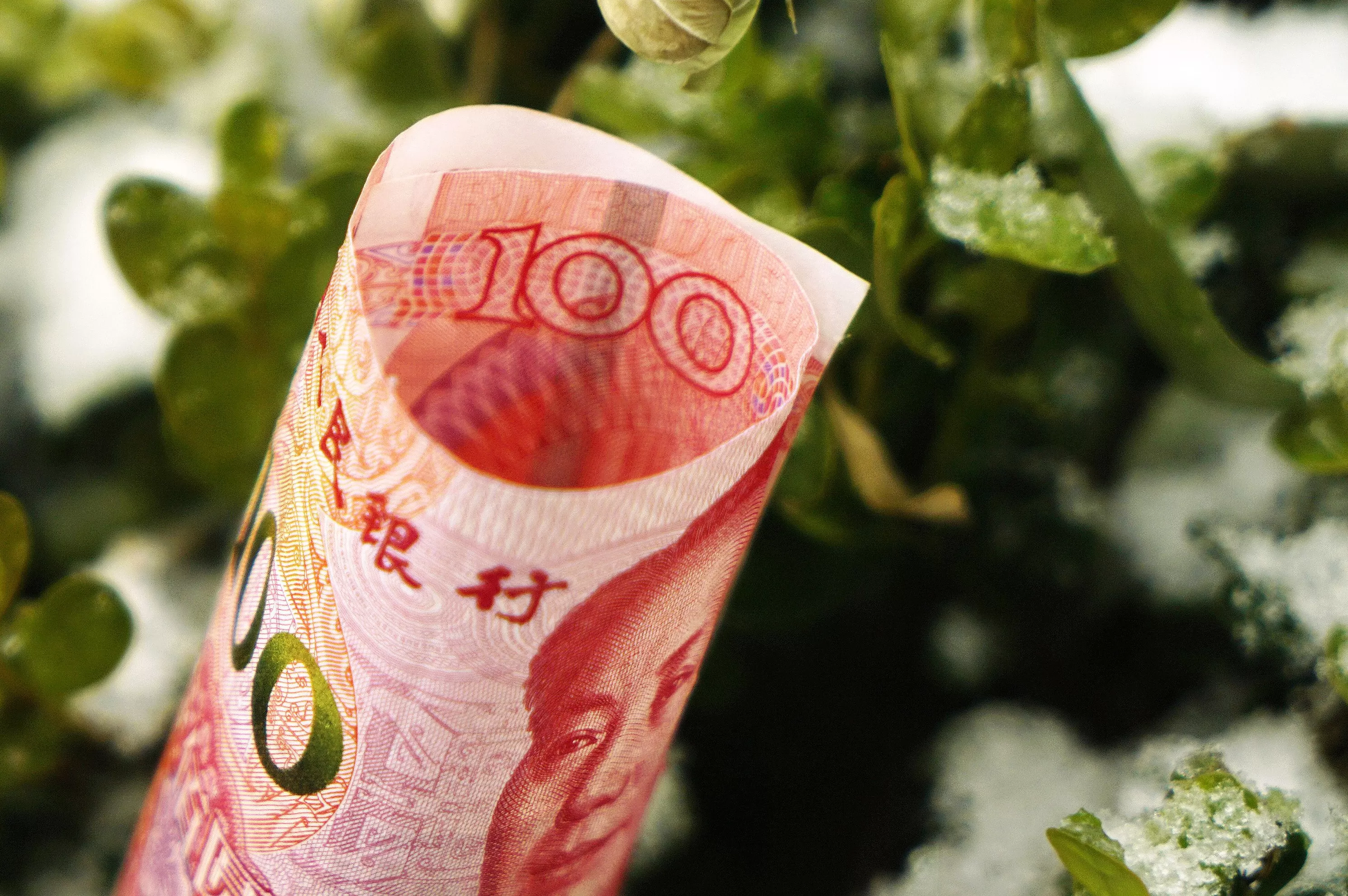 年化收益率逼近1%、“宝宝货基”规模反增，监管发文反“内卷”-第1张图片-