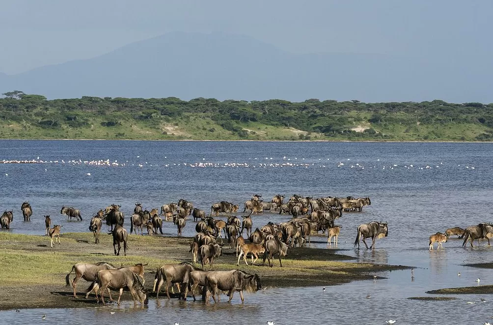 聪明躺平、享受当下、长期主义,非洲是太阳的阴影还是投资的蓝海?|907编辑部-第1张图片- 聪明躺平、享受当下、长期主义,非洲是太阳的阴影还是投资的蓝海?|907编辑部-第1张图片-