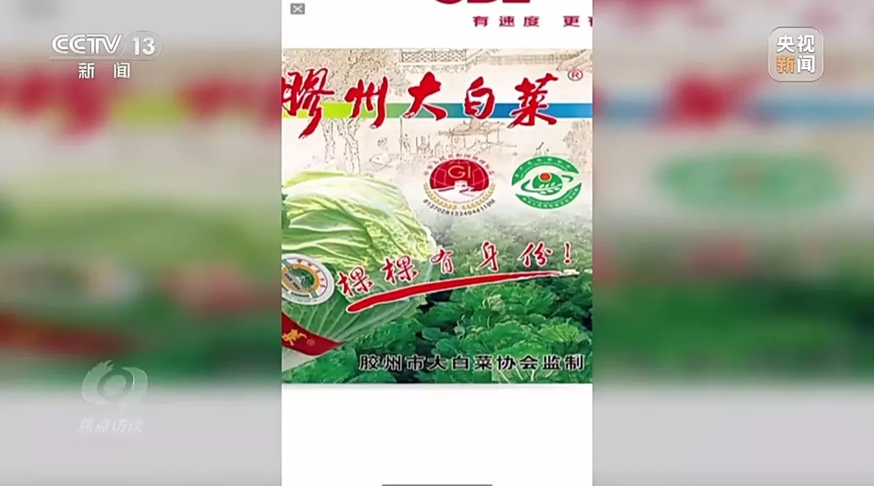 焦点访谈丨单棵售价超百元，起底“套牌白菜”背后的销售套路-第2张图片-