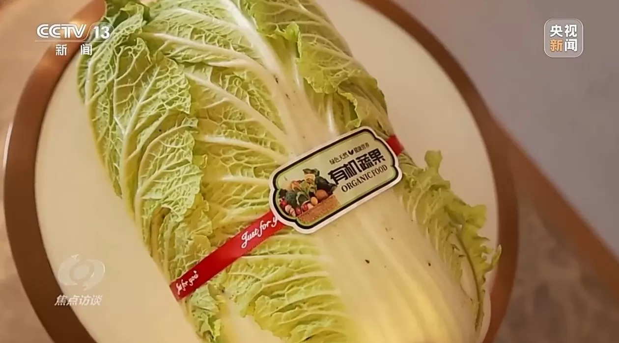 焦点访谈丨单棵售价超百元，起底“套牌白菜”背后的销售套路-第3张图片-