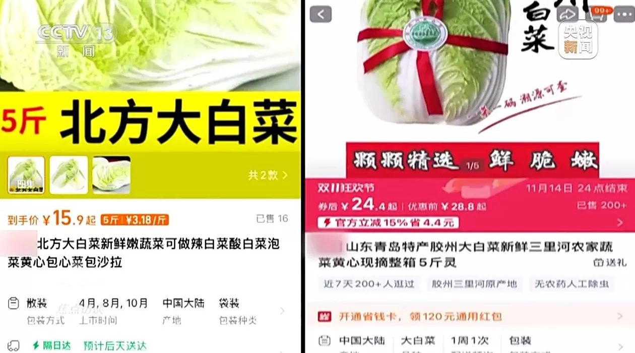 焦点访谈丨单棵售价超百元，起底“套牌白菜”背后的销售套路-第9张图片-