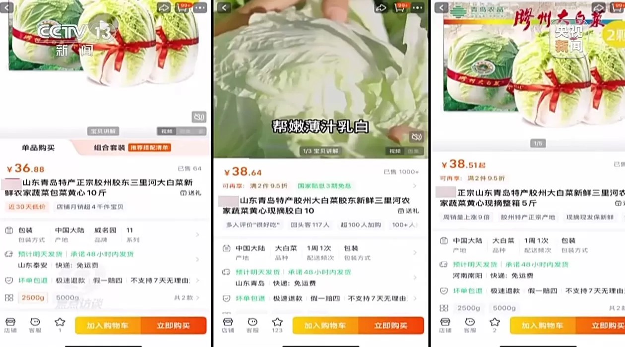焦点访谈丨单棵售价超百元，起底“套牌白菜”背后的销售套路-第11张图片-